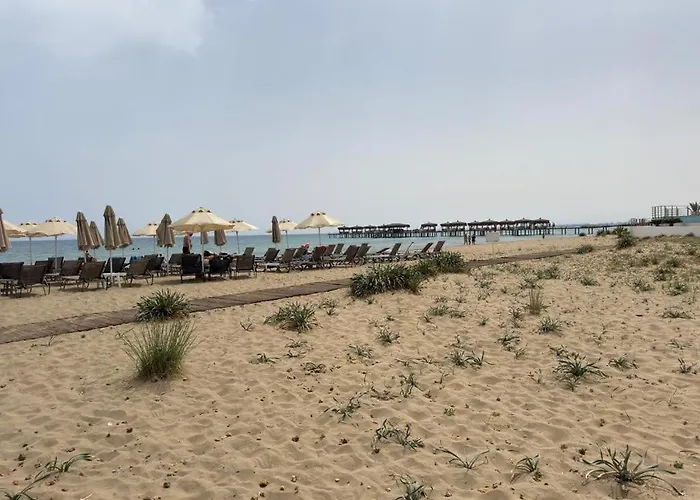 Elizabeth Caesar Blue Apartamento *