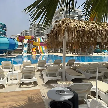 Elizabeth Caesar Blue * Trikomo