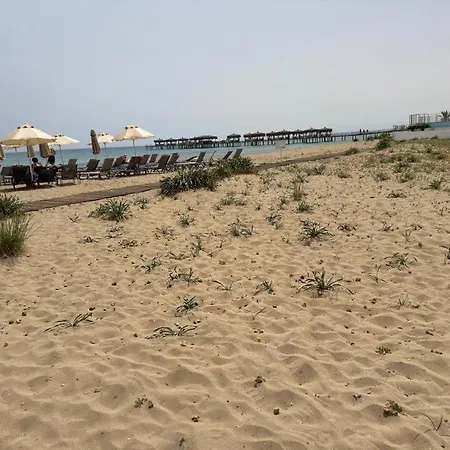 Elizabeth Caesar Blue Trikomo