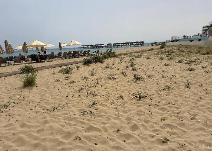 Elizabeth Caesar Blue Trikomo